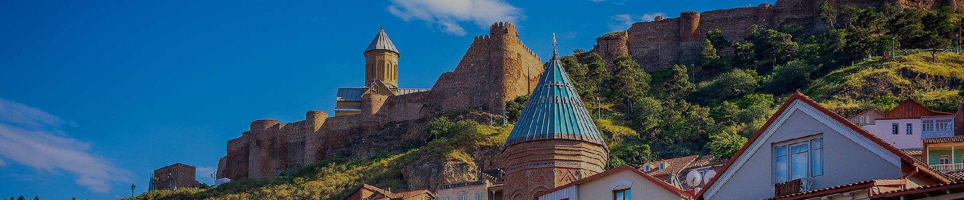 Georgia Tour Package