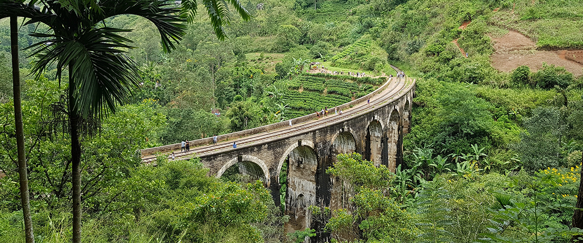 Sri Lanka Honeymoon Package