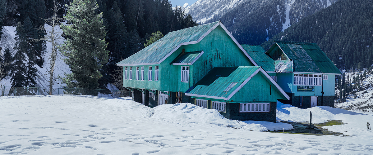 Nanital Honeymoon Package
