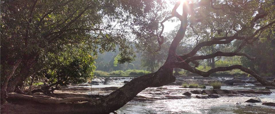 Tamil Nadu Temple Trail And Pilgrimage - Budget
